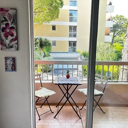 In A Private With Pool Apartment Nice